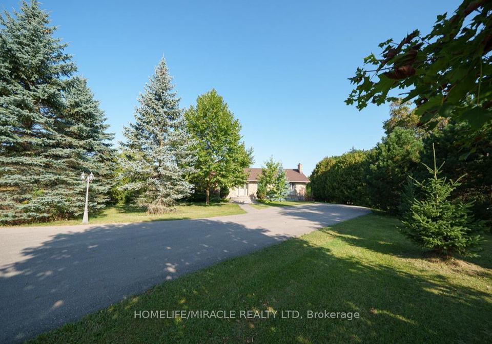 385-mount-pleasant-road-brantford-ontario-x12825268