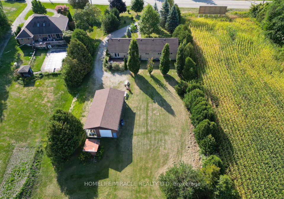 385-mount-pleasant-road-brantford-ontario-x12825268