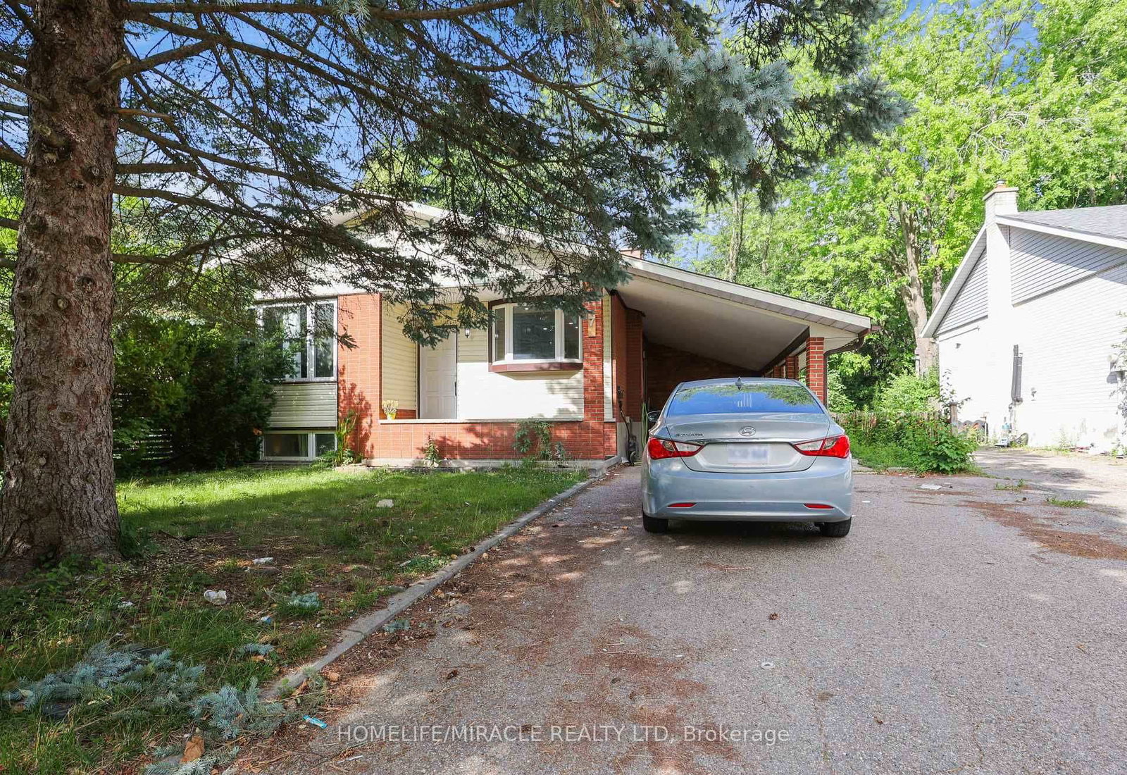 7-cardill-crescent-waterloo-ontario-x12829140