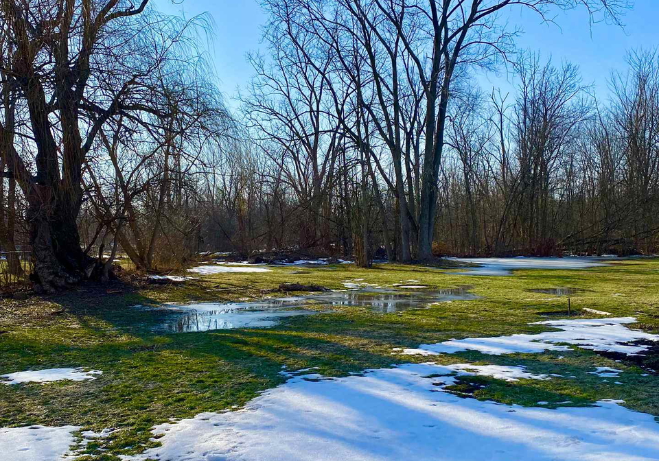 18-pietz-avenue-welland-ontario-x12831124