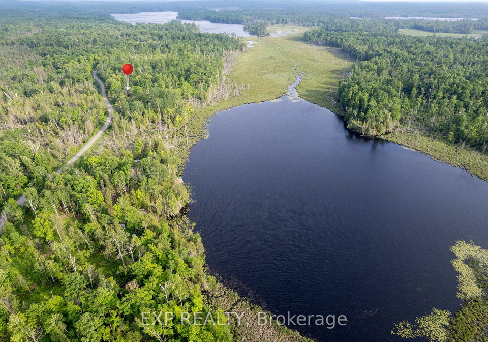 146-thanet-lake-road-wollaston-ontario-x12831952