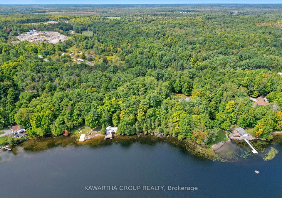 7190-35-highway-n-kawartha-lakes-ontario-x12832410