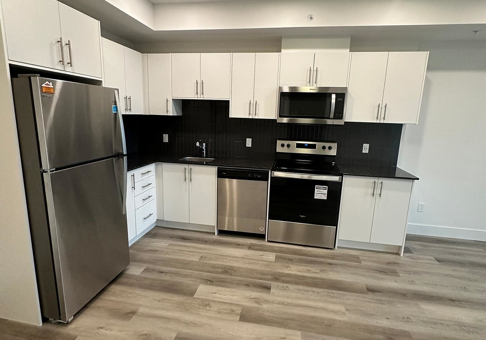 107-roger-street-waterloo-ontario-x12841474