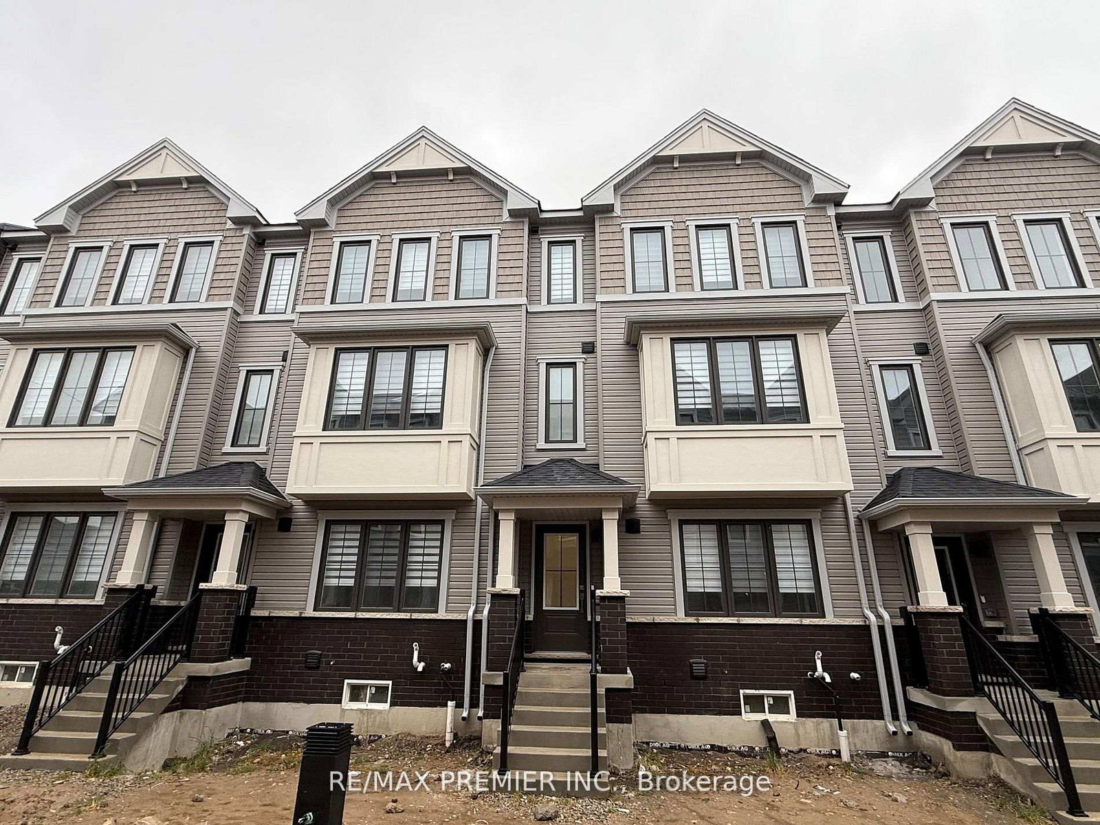 12-kingbird-common-cambridge-ontario-x12841628