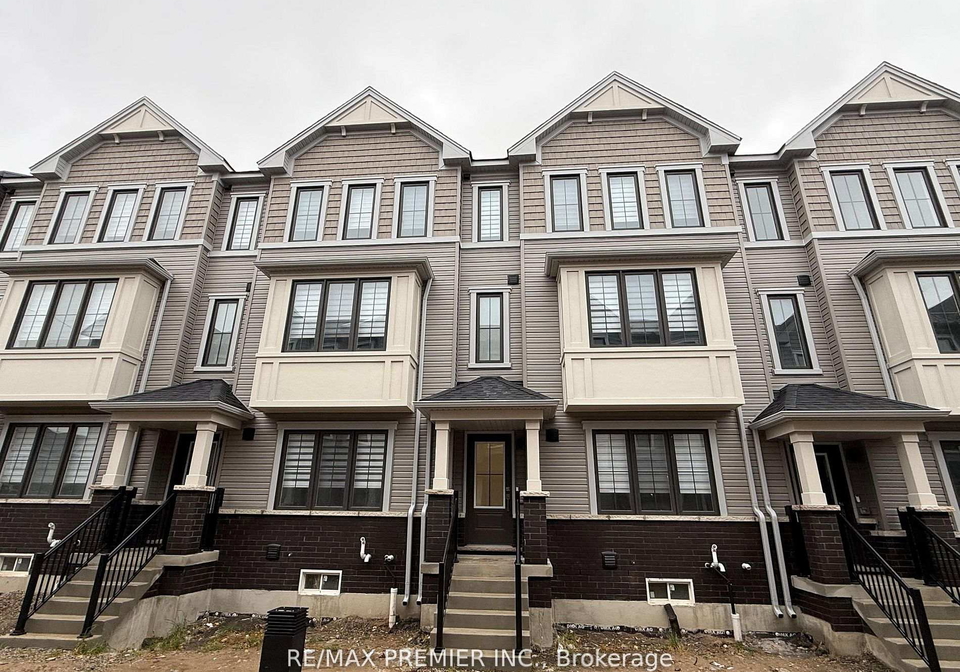 12-kingbird-common-cambridge-ontario-x12841628