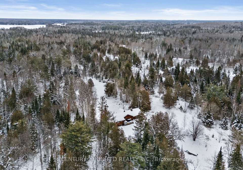 257-big-cedar-lake-road-north-kawartha-ontario-x12843238