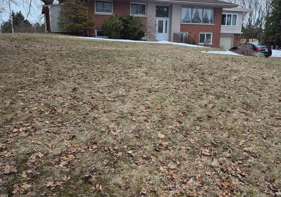 61-lafferty-road-quinte-west-ontario-x12846444