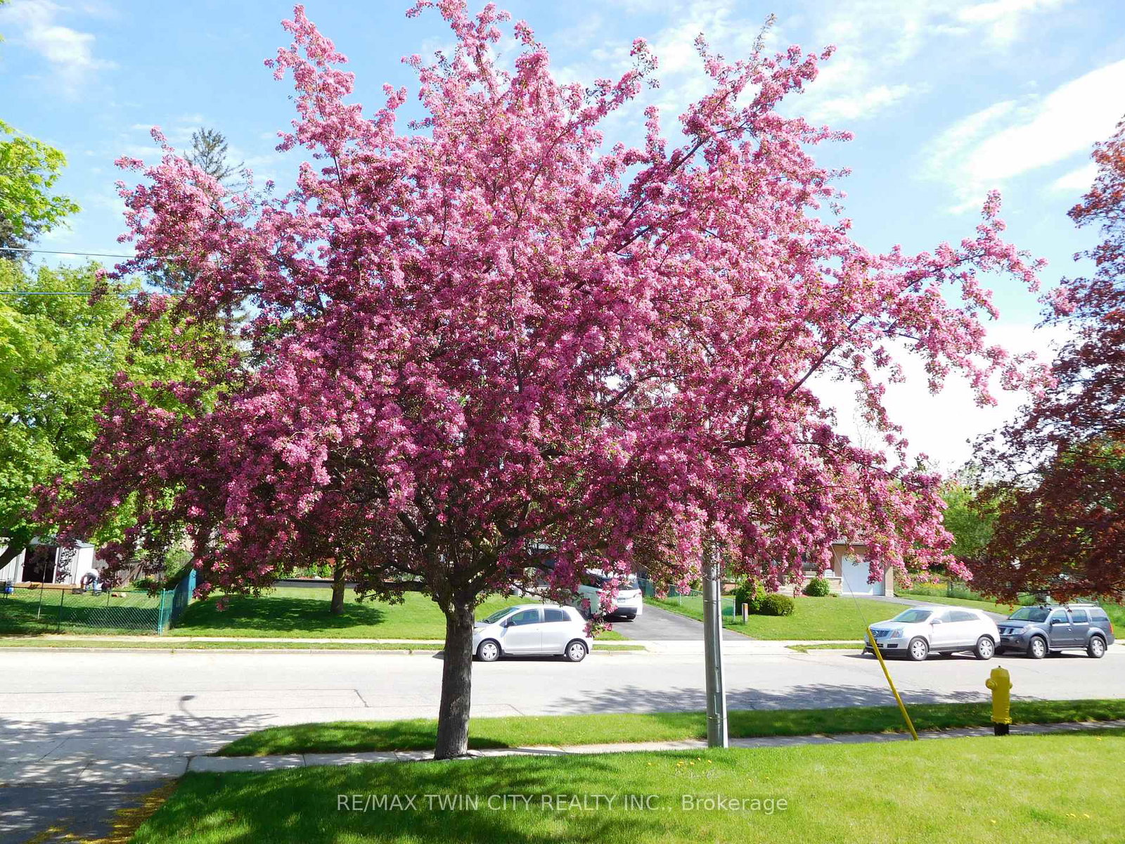 1166-homuth-avenue-cambridge-ontario-x12846884