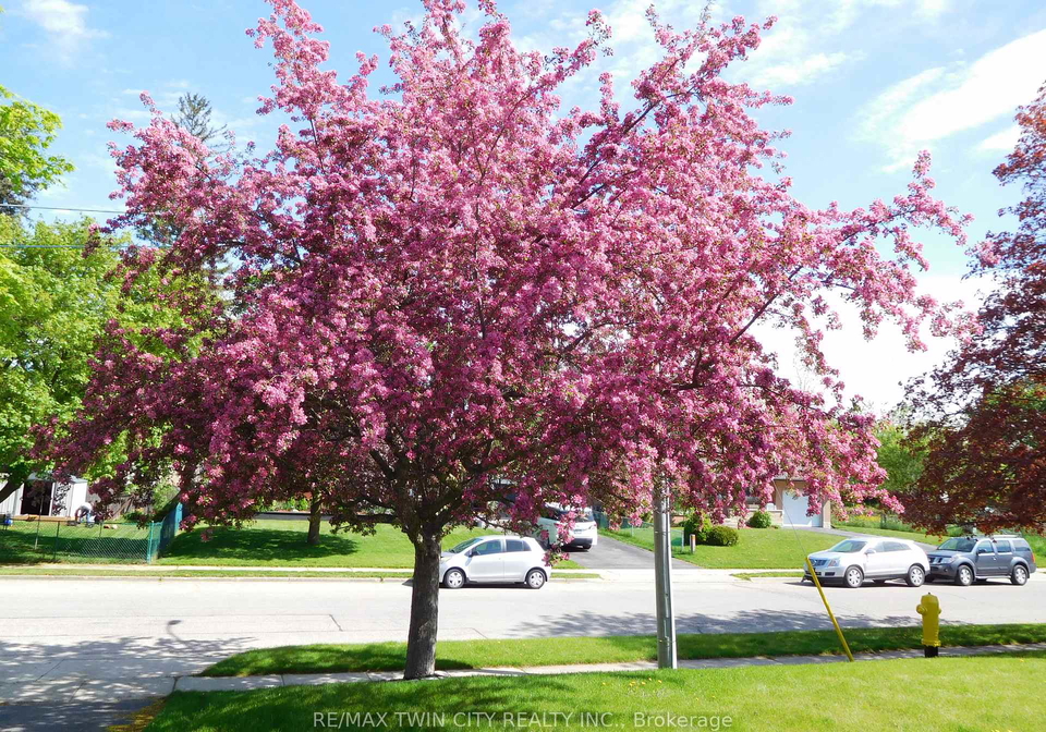 1166-homuth-avenue-cambridge-ontario-x12846884