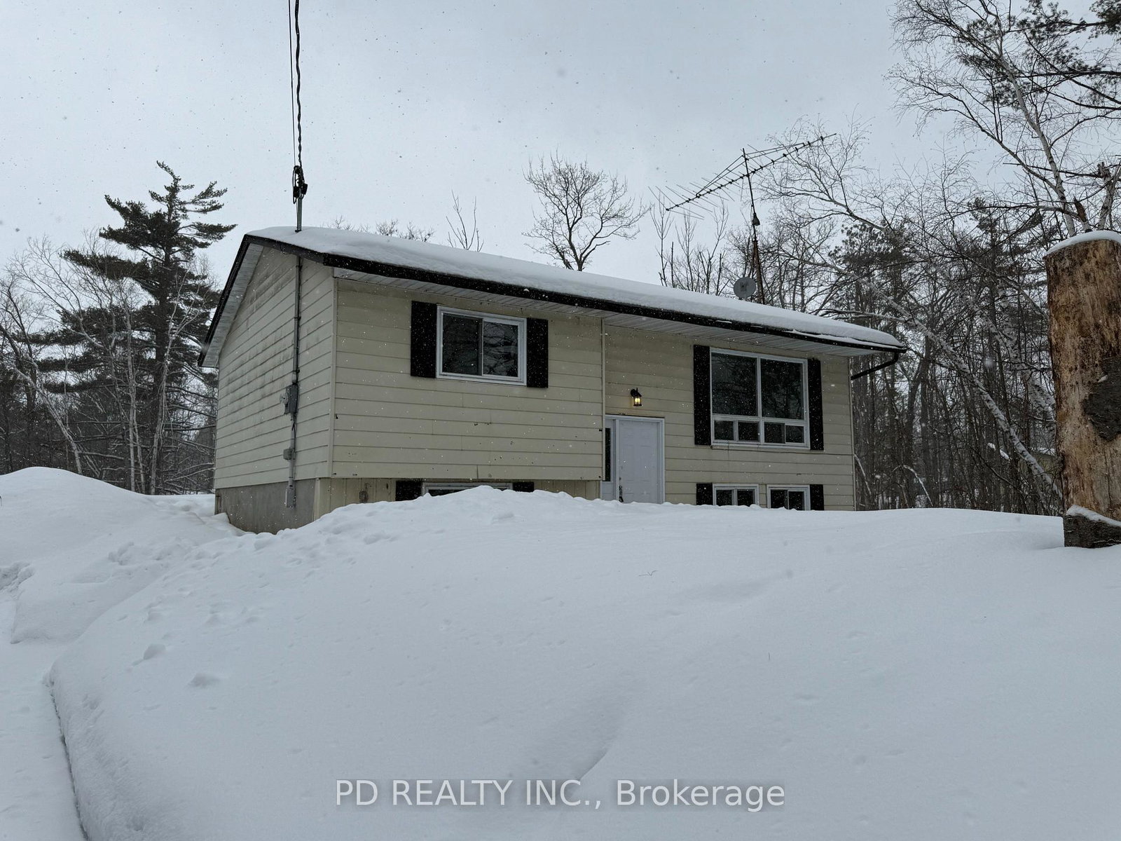 81-ojibway-drive-n-trent-lakes-ontario-x12848858