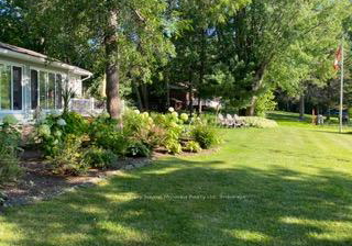 49-maple-street-seguin-ontario-x12859382