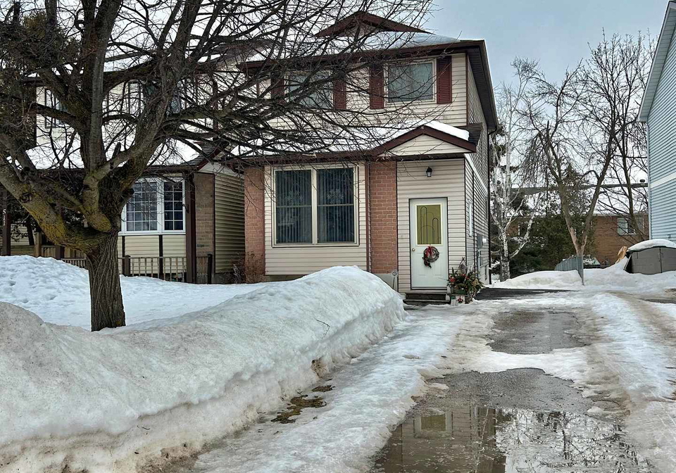 509-pineview-gardens-shelburne-ontario-x12862932