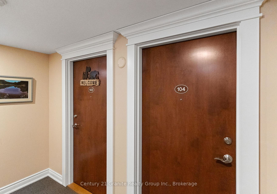 9-newcastle-street-minden-hills-ontario-x12865844