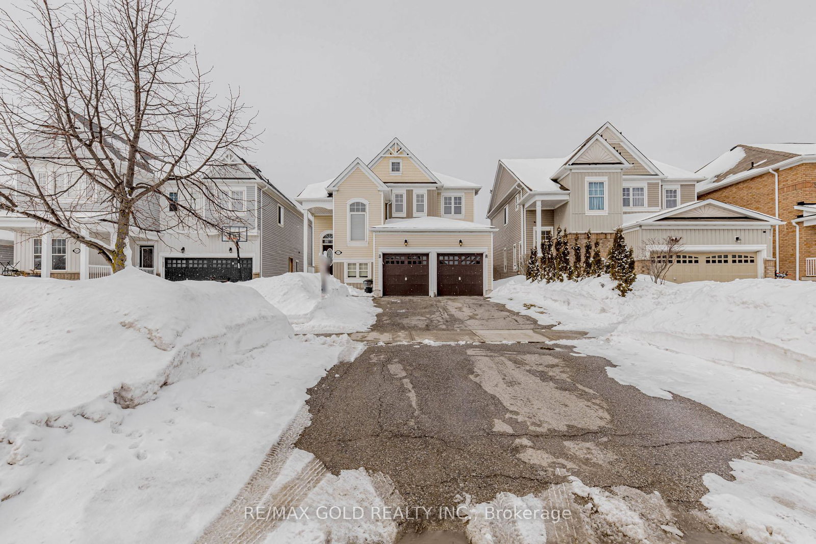 527-wansbrough-way-shelburne-ontario-x12865916