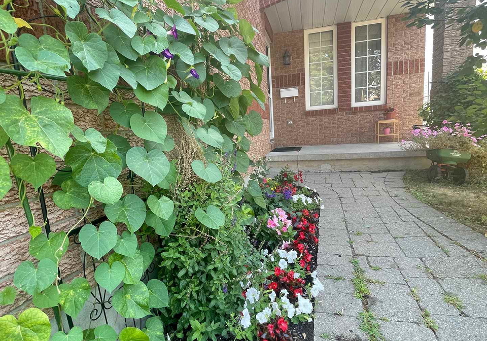 1344-thornwood-crescent-kingston-ontario-x12866940