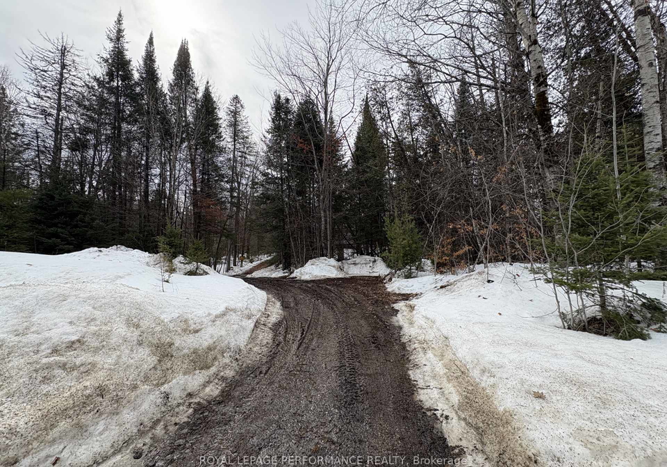 6611-highway-511-highway-lanark-highlands-ontario-x12867692