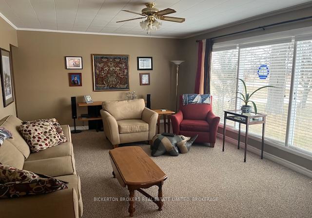 942-prince-street-lansdowne-village-ontario-x12870046