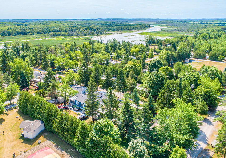 2152-hwy-36-kawartha-lakes-ontario-x12870582