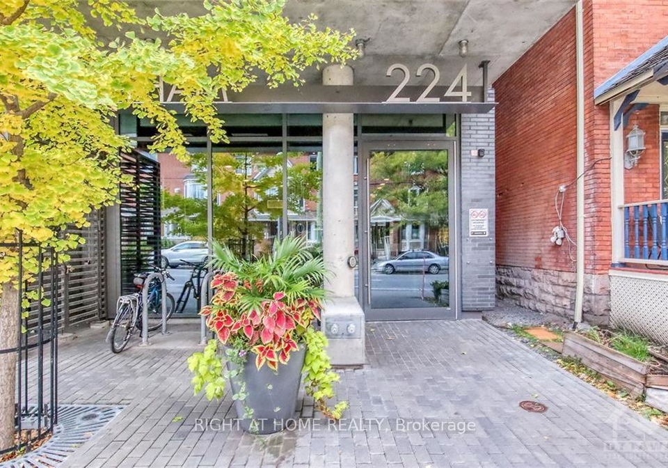 224-lyon-street-n-ottawa-ontario-x12870812