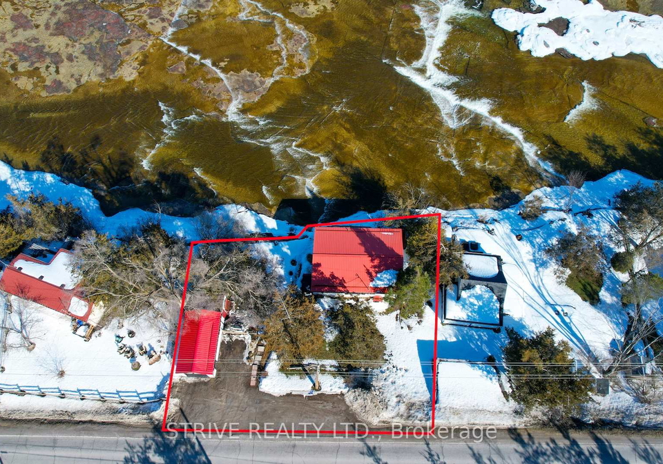 6613-county-road-50-trent-hills-ontario-x12870982
