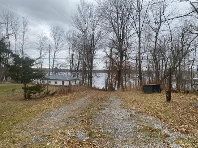 385-blairton-road-havelock-belmont-methuen-ontario-x12872922