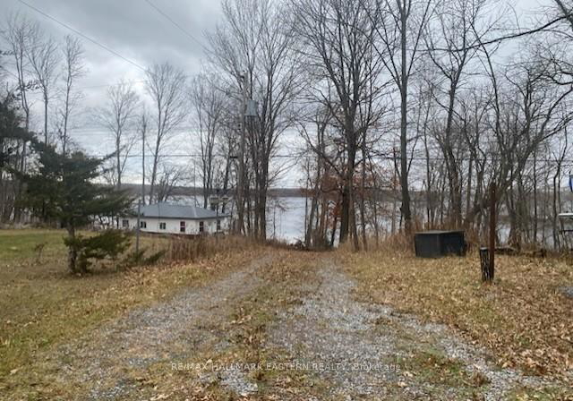 385-blairton-road-havelock-belmont-methuen-ontario-x12872922