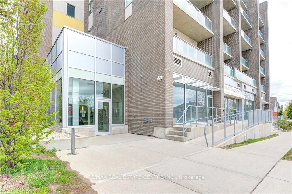 62-balsam-street-waterloo-ontario-x12878642