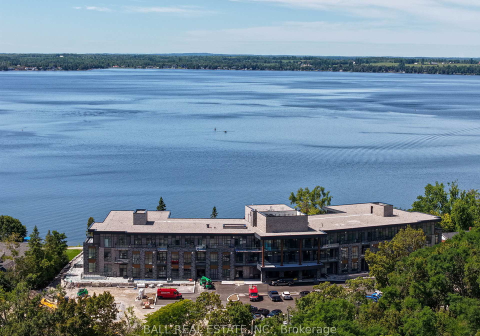 99-louisa-street-kawartha-lakes-ontario-x12882038
