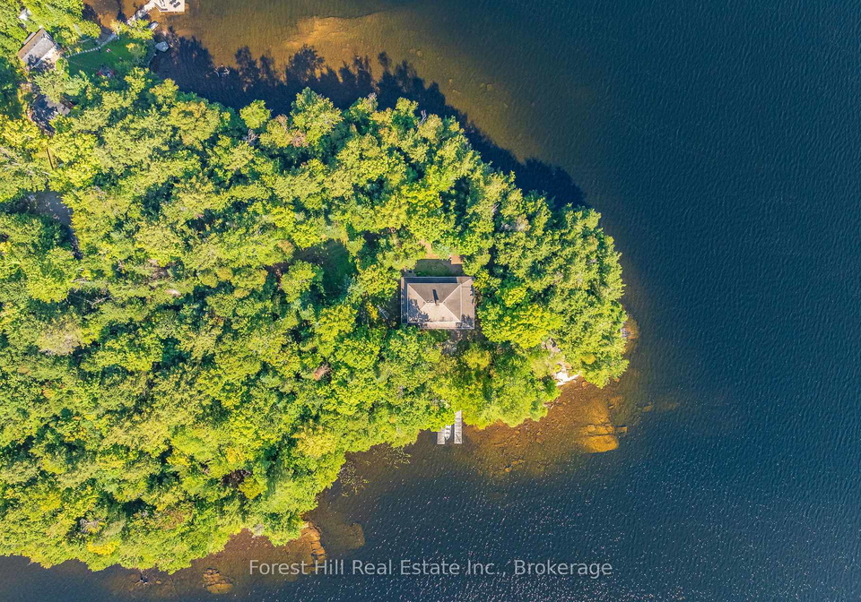 1089-lutes-lane-algonquin-highlands-ontario-x12888298