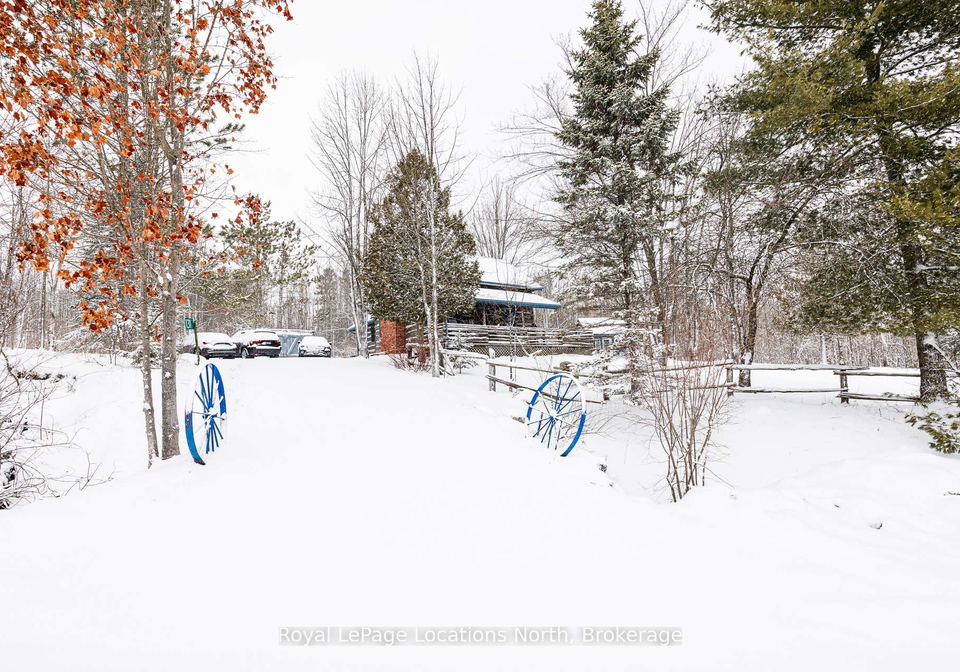 131-amik-court-grey-highlands-ontario-x12890988