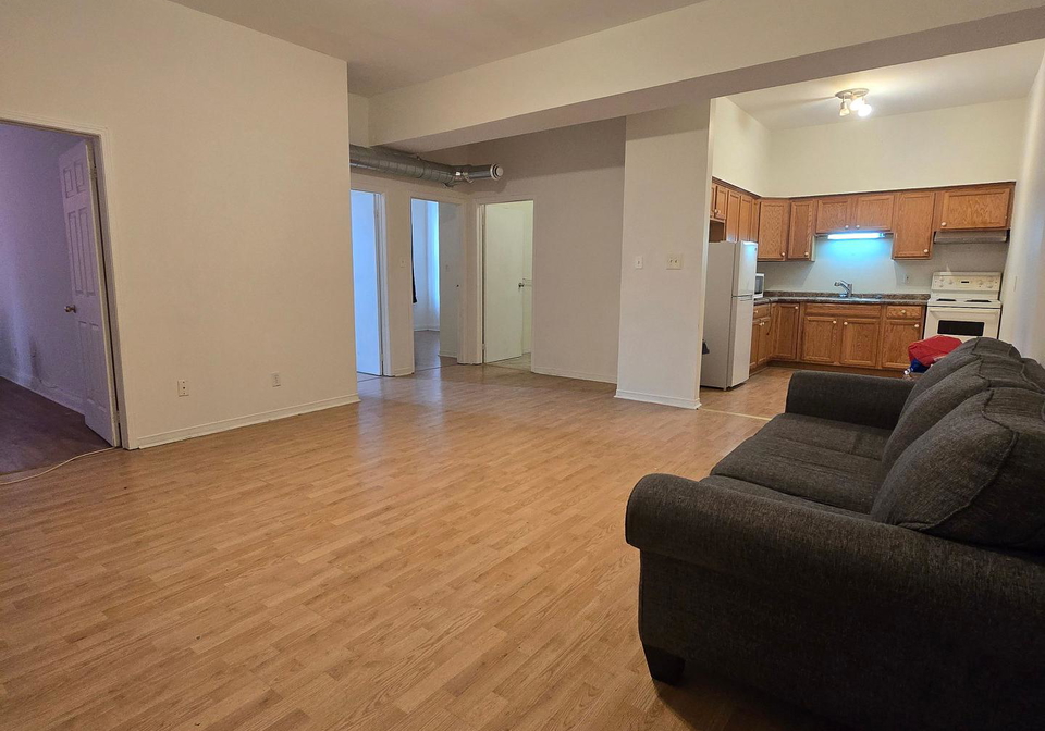 88-colborne-street-brantford-ontario-x12893700