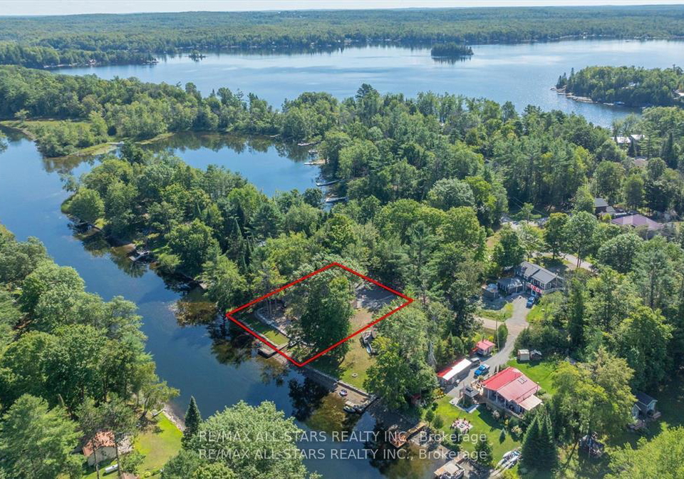 11-little-bay-drive-kawartha-lakes-ontario-x12894332