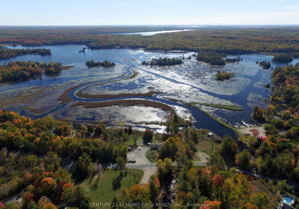 29-edwina-drive-trent-lakes-ontario-x12894518