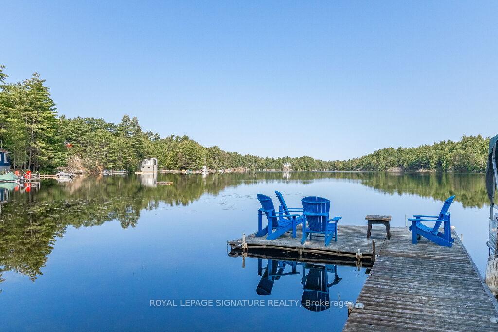 1127-sunny-lake-road-gravenhurst-ontario-x12895622