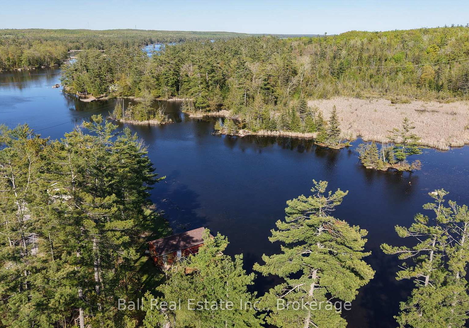 3349-fire-route-22-selwyn-ontario-x12896014