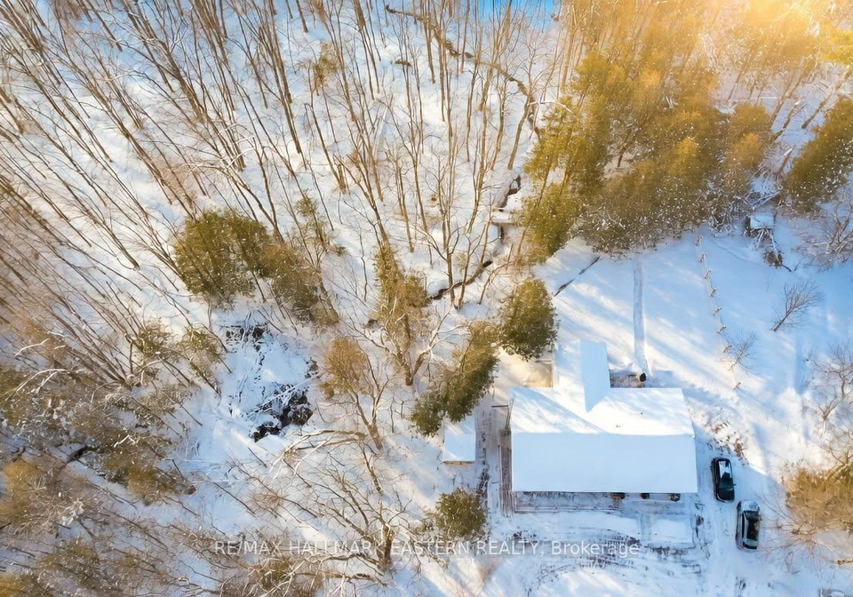 2160-county-road-46-havelock-belmont-methuen-ontario-x12898934