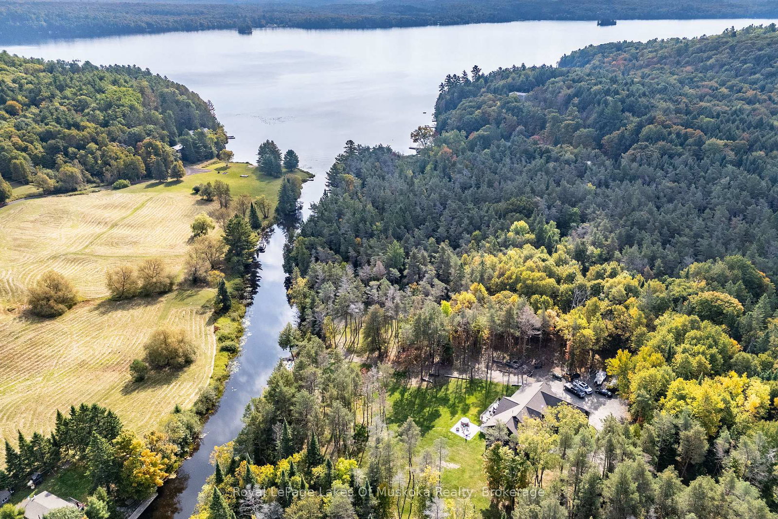 461-rowanwood-road-huntsville-ontario-x12899484