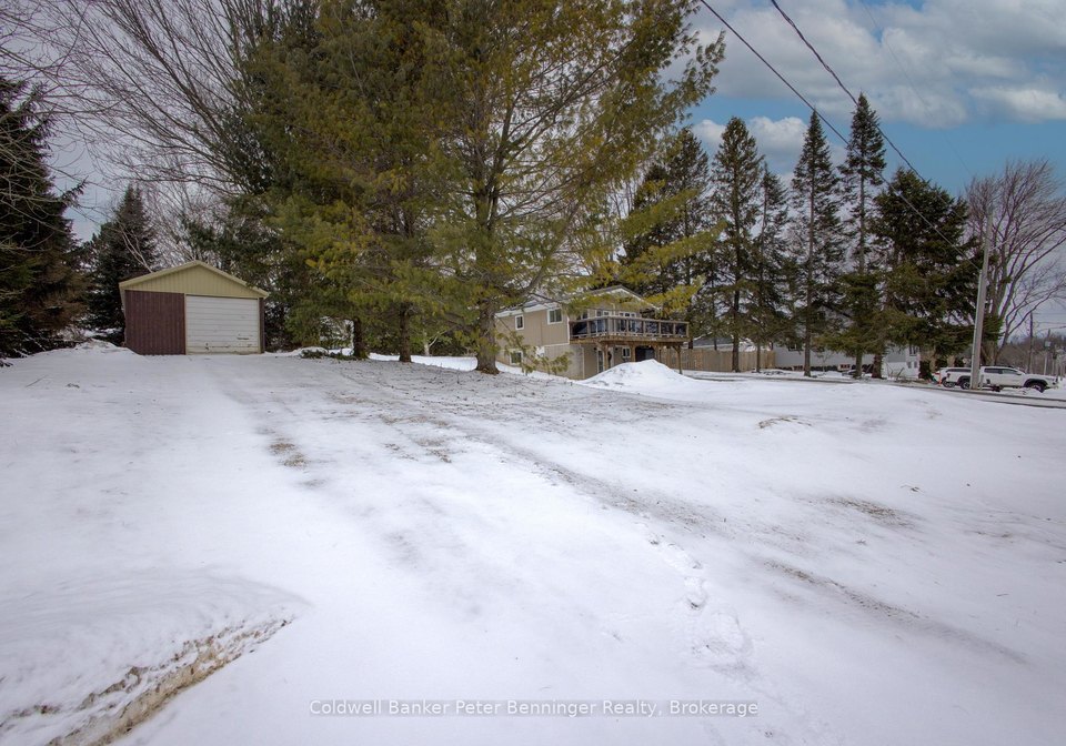 182-james-street-arran-elderslie-ontario-x12899862