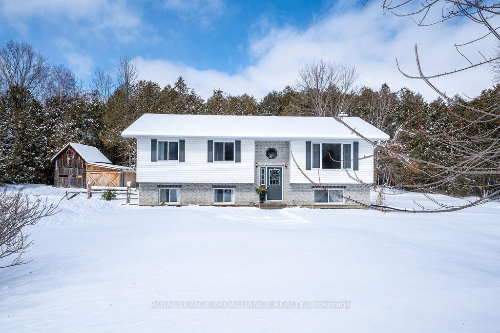 42-springbrook-road-centre-hastings-ontario-x12901790