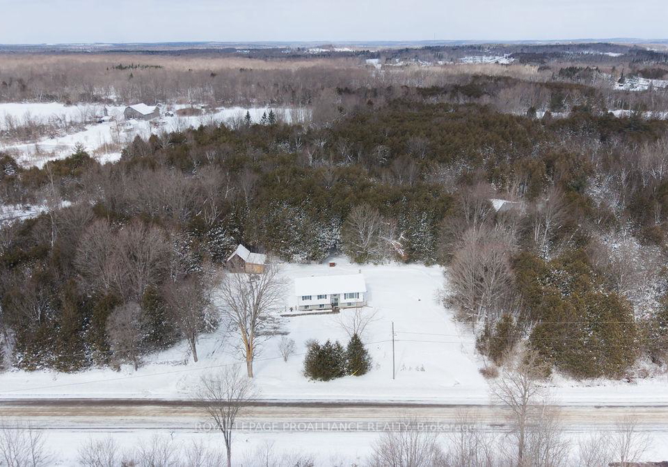 42-springbrook-road-centre-hastings-ontario-x12901790