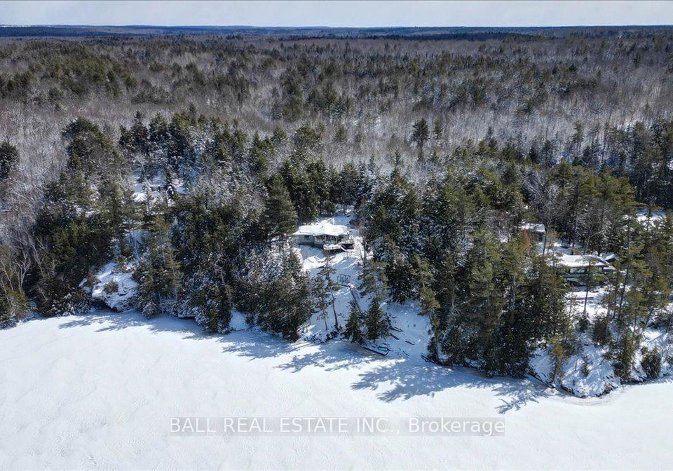98-merganser-lane-north-kawartha-ontario-x12903008