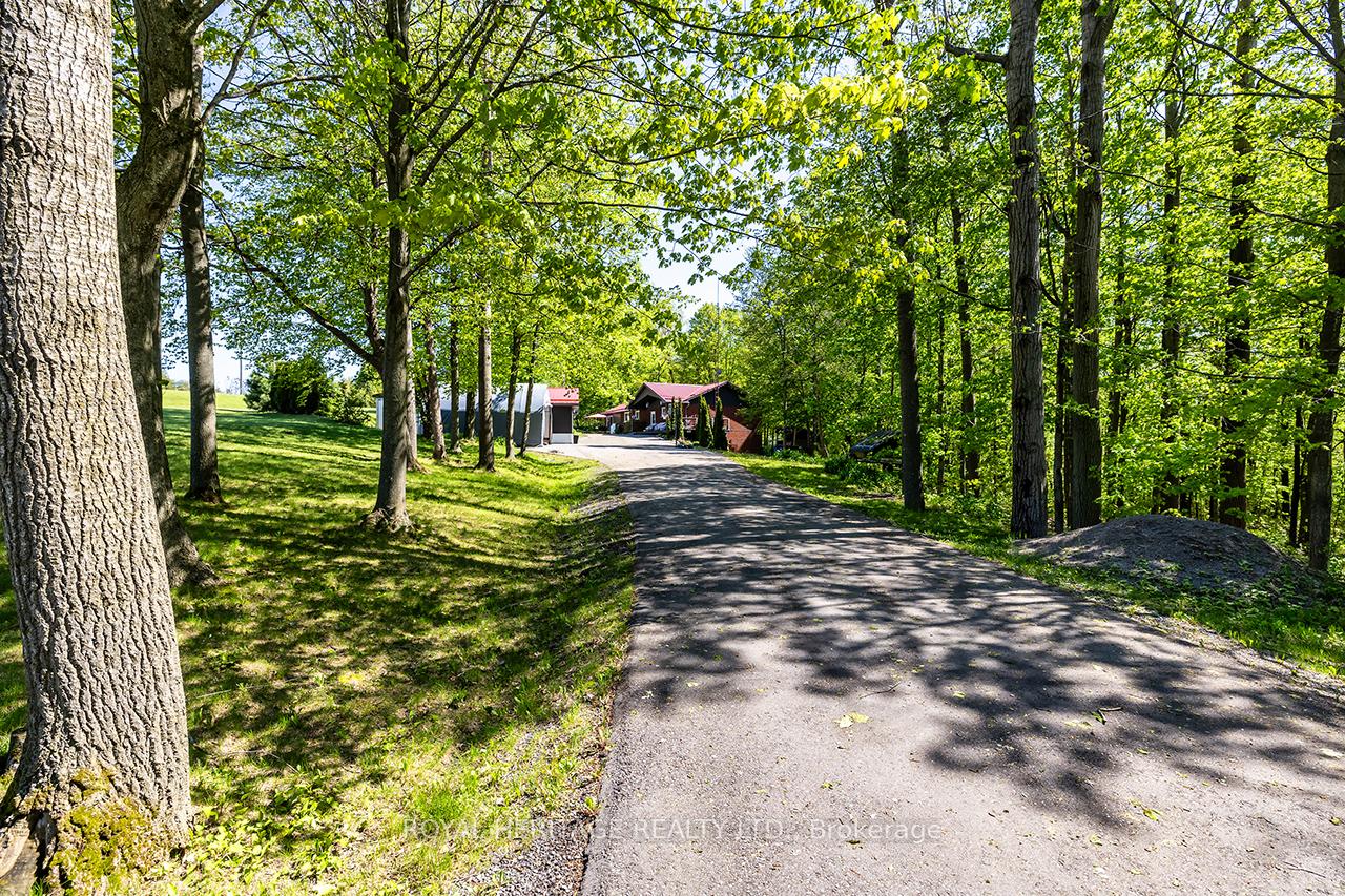 601-clouston-road-alnwickhaldimand-ontario-x12903216