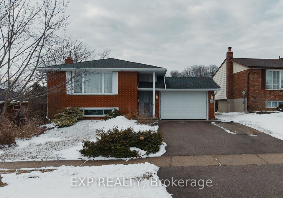 43-ripley-crescent-kitchener-ontario-x12904054