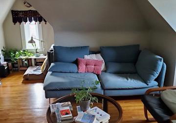 491-mcleod-street-ottawa-ontario-x12905320