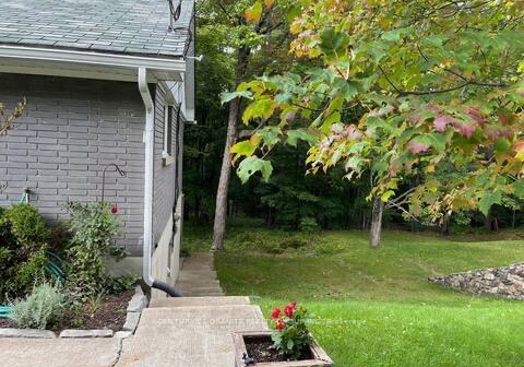12-forest-hill-road-bancroft-ontario-x12906570