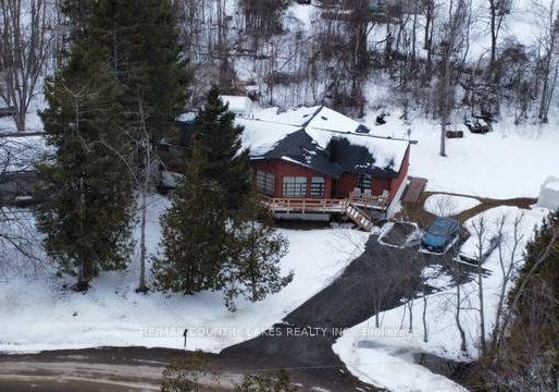 4-macpherson-crescent-kawartha-lakes-ontario-x12906872