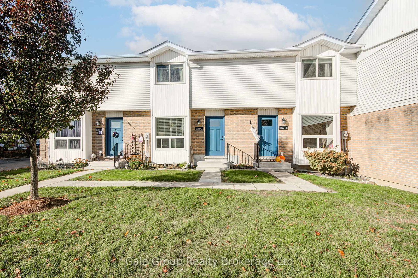 1193-nellis-street-woodstock-ontario-x12907986