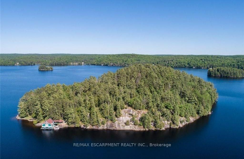 0-crown-island-huntsville-ontario-x12908286