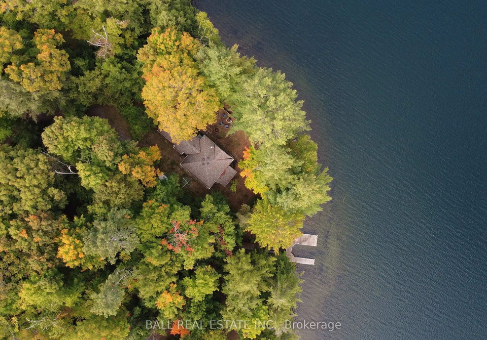 551-renwick-road-north-kawartha-ontario-x12908560