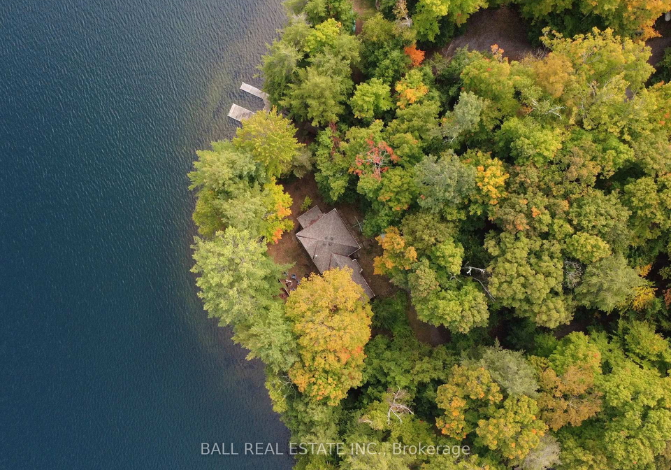 551-renwick-road-north-kawartha-ontario-x12908560